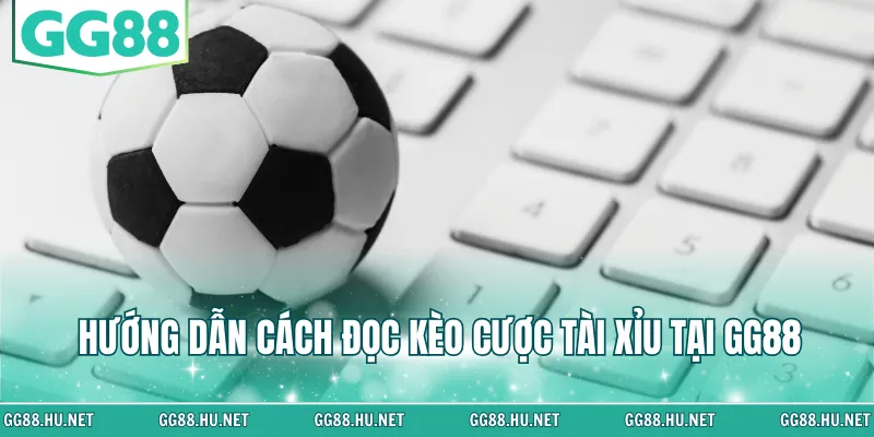 Hướng dẫn cách đọc kèo cược tài xỉu tại web