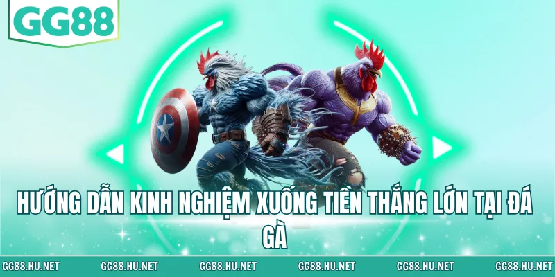 Hướng dẫn kinh nghiệm xuống tiền thắng lớn tại đá gà