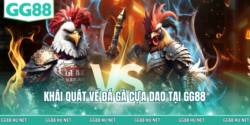 Khái quát về đá gà cựa dao tại GG88