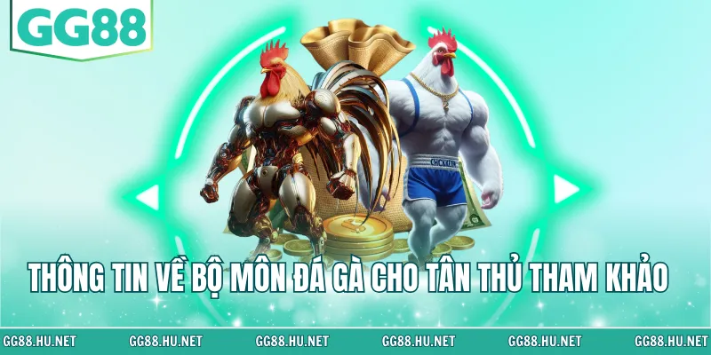 Thông tin về bộ môn đá gà cho tân thủ tham khảo