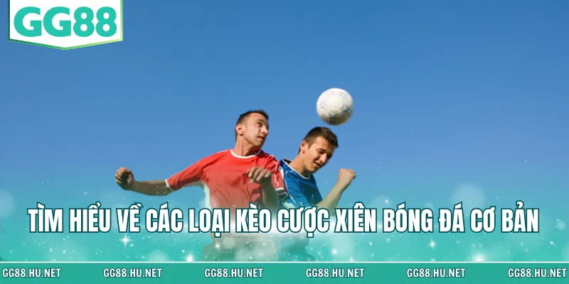 Tìm hiểu về các loại kèo cược xiên bóng đá cơ bản 